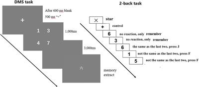 Can Working Memory Task-Related EEG Biomarkers Measure Fluid Intelligence and Predict Academic Achievement in Healthy Children?